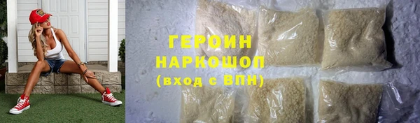 индика Козельск
