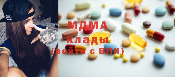 индика Козельск