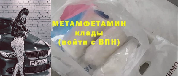 индика Козельск