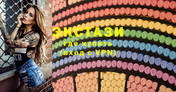 индика Козельск