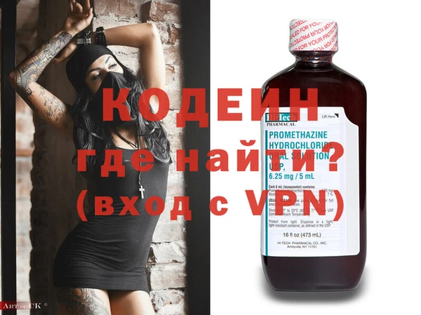 индика Козельск