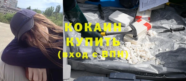 индика Козельск