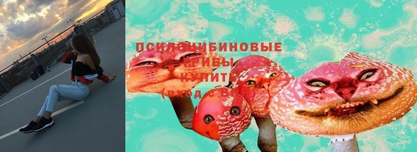 амф Кодинск