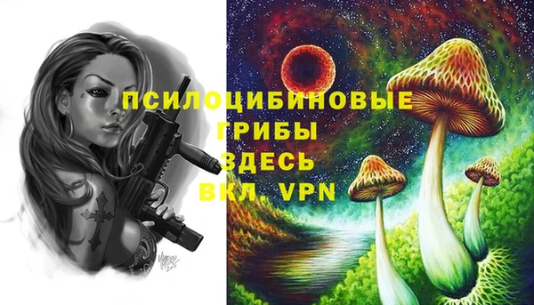индика Козельск